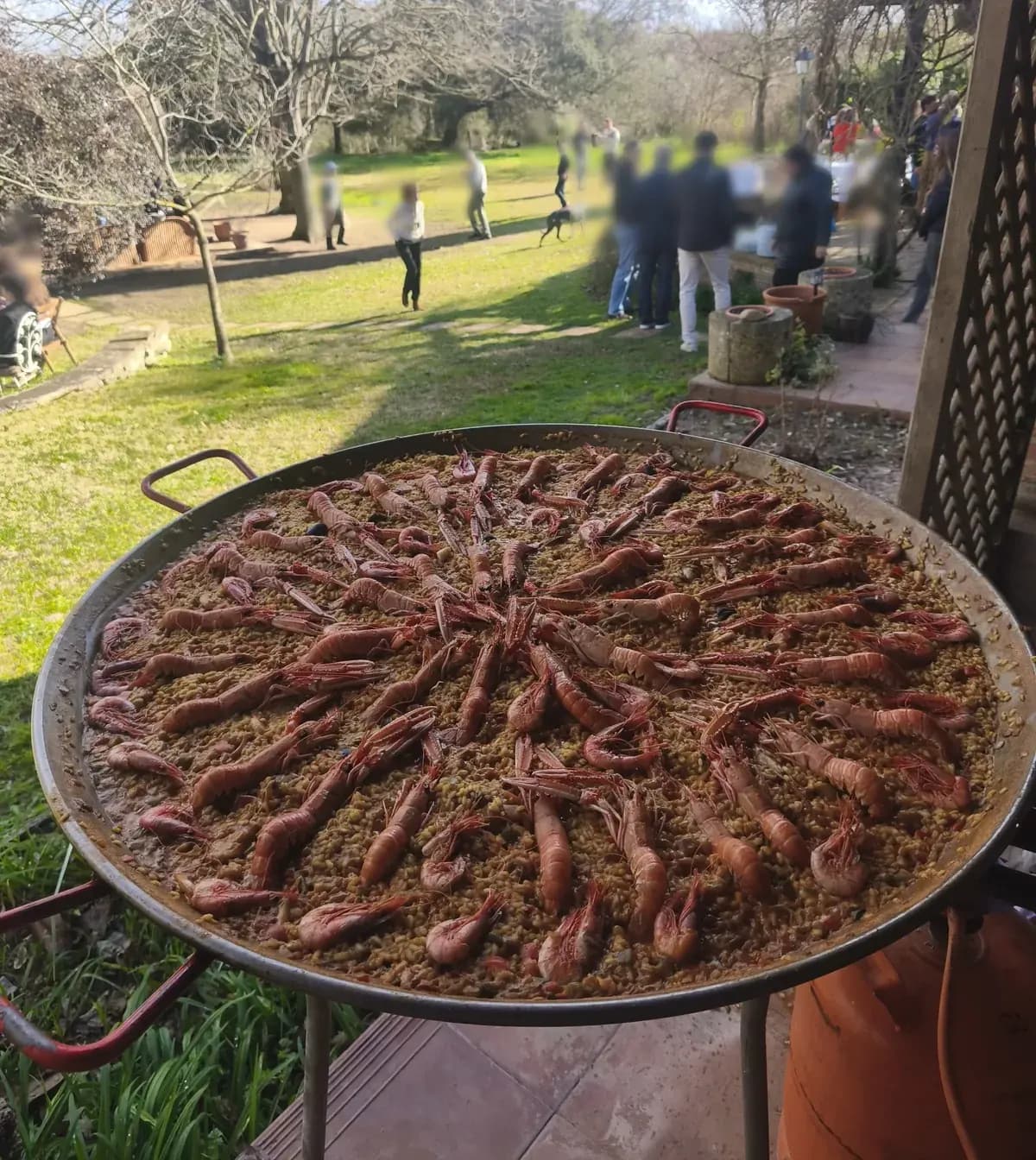 Showcooking en vivo de ShowCooking Paellas