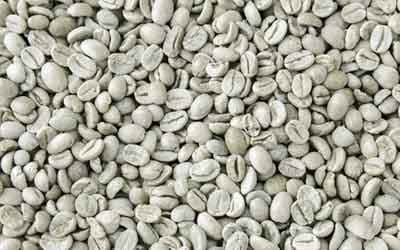 Café de especialidad de Café Lisu — foto 4