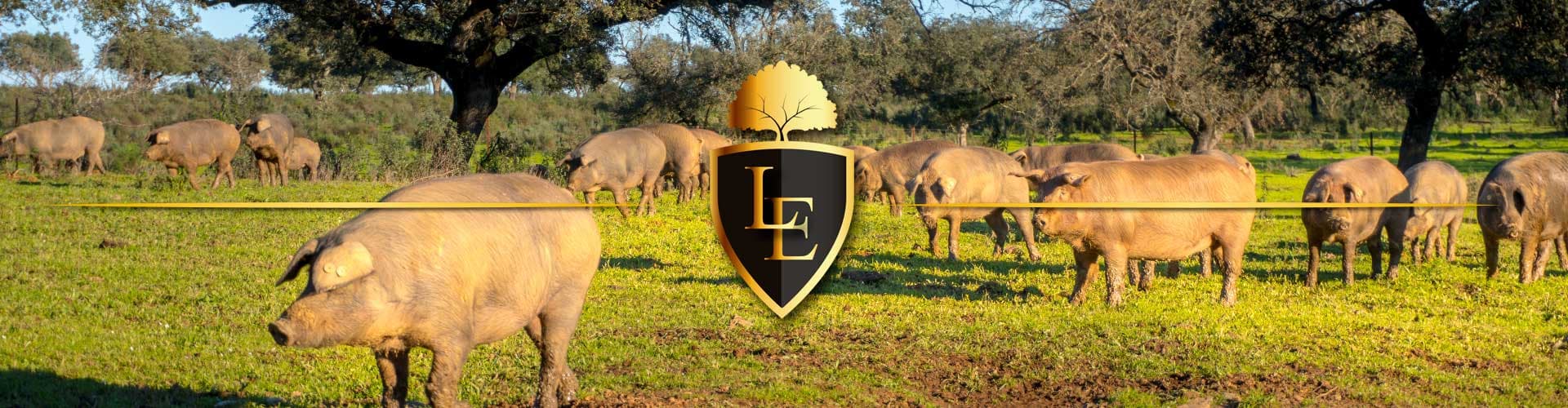 Jamón ibérico en directo de Luxury Extremadura — foto 3